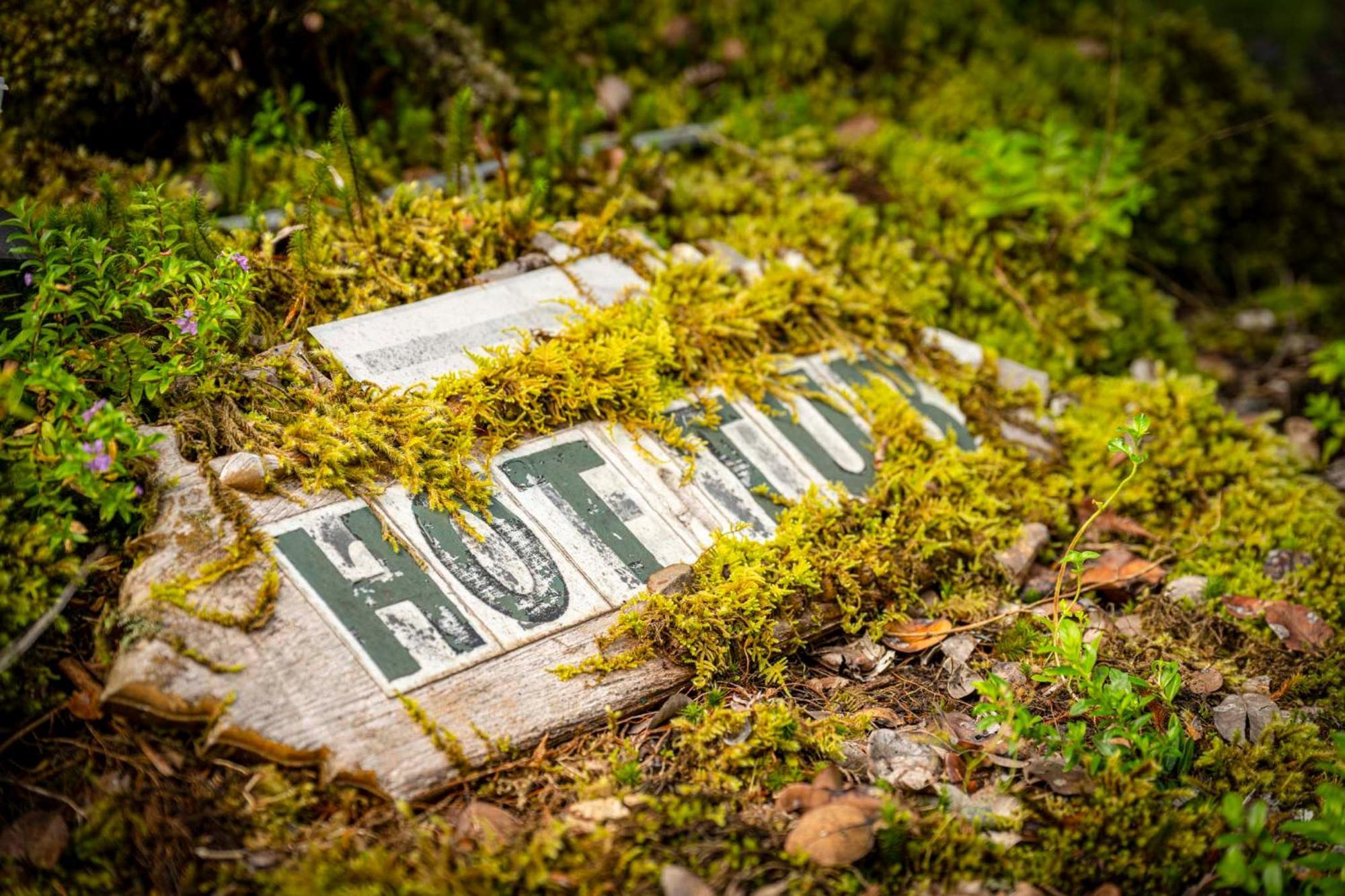 Volcano Inn Bed N Breakfast Eksteriør bilde